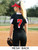 Womens "Lioness" Two-Button Softball Jersey