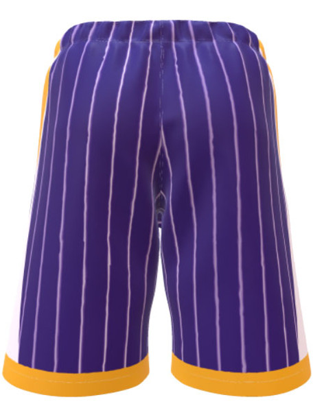 Saver Series - Womens/Girls "Laker" Custom Sublimated Basketball Set