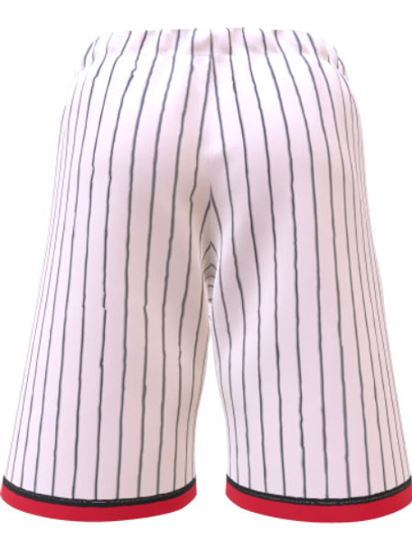 Saver Series - Adult/Youth "Chicago" Custom Sublimated Reversible Basketball Set