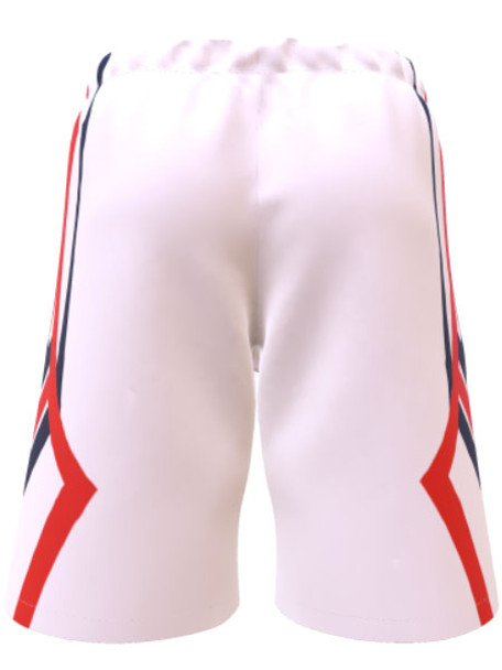 Saver Series - Adult/Youth "Falcon" Custom Sublimated Reversible Basketball Set