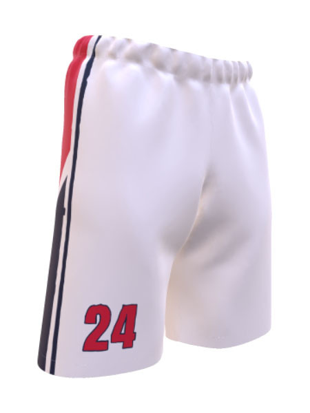 Saver Series - Adult/Youth "Panther" Custom Sublimated Reversible Basketball Set