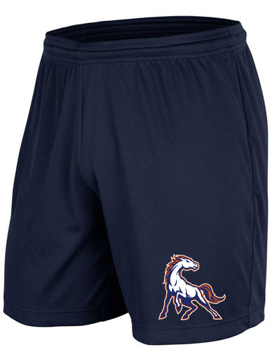 Saver Series - Adult/Youth "Wild Horse" Custom Sublimated Flag Football Set