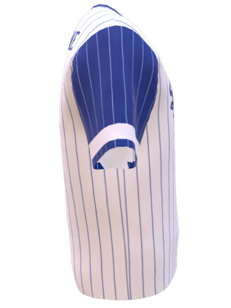 Control Series Premium  - "Dodger" Custom Sublimated 2 Button Baseball Jersey