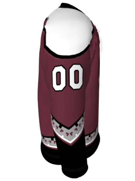 Dawg - Adult/Youth "Arizona Dawg" Custom Sublimated Laced Yoked Hockey Jersey + Socks