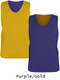 Adult/Youth "Lethal" Mesh Reversible Basketball Uniform Set