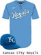 Adult/Youth Nike MLB Replica Moisture Control One-Button League Set - Order League Baseball Admin Products All Sports Uniforms