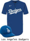 Adult/Youth Nike MLB Replica Moisture Control One-Button League Set - Order League Baseball Admin Products All Sports Uniforms