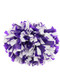 Set of 2 - Champion 6" 1000 Count 2 Color Plastic Poms Accessories & Essentials All Sports Uniforms