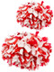 Set of 2 - Champion 6" 1000 Count 2 Color Plastic Poms Accessories & Essentials All Sports Uniforms