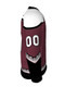 Dawg - Adult/Youth "Arizona Dawg" Custom Sublimated V-Neck Yoked Hockey Jersey