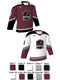 Dawg - Adult/Youth "Arizona Dawg" Custom Sublimated Reversible V-Neck Yoked Hockey Jersey