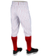 14 oz Modern Fit "Triple Crown 2.0" Pinstripe Knicker
