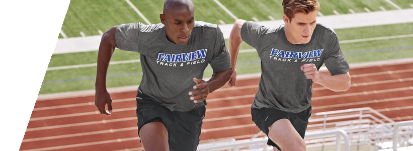 Alternative banner alt