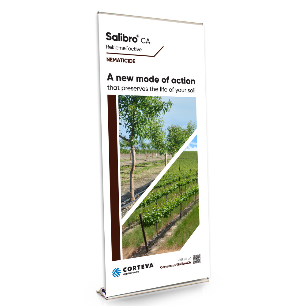 SALIBRO (A NEW MODE OF ACTION) 36-Inch Retractable Banner