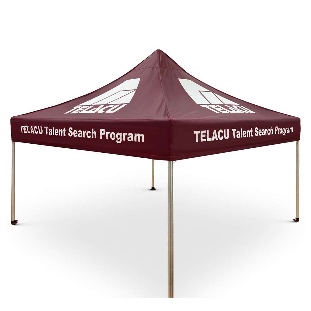 Custom 10x10 Concert Merch Tent (Fully Branded for Touring Artists)