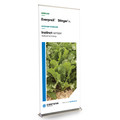 EverpreX Stinger Instinct 36-inch Wide Bannerstand