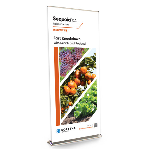 Sequioa CA 36-Inch Retractable Banner