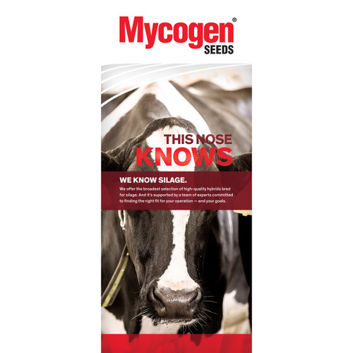 Mycogen Seeds - Dairy - Blade 36