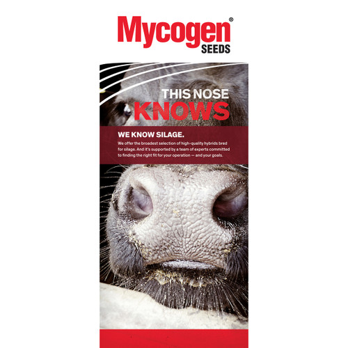 Mycogen Seeds - Beef - Blade 36