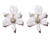 Crystal Lily Clip-On Earrings - Mother of Pearl