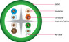 CAT6A Cable, CMR (Riser-Rated) UTP (Unshielded Twisted Pairs), 23 AWG Solid-Bare Copper, Wooden Spool, 1000 ft. Green