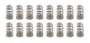 1.290 RPM Series Valve Springs Beehive 16Pk