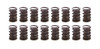 1.538 Dual Valve Springs w/Damper 16pk