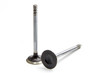 1.600in Exhaust Valve Discontinued 08/04/20 VD