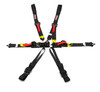 Harness 6pt Black Cam L 2in Shoulder FIA