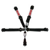 Harness 5pt LL Pull-Down 2in Lap & Shoulder