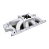 SBF Alm Intake Manifold Renegade 289-302