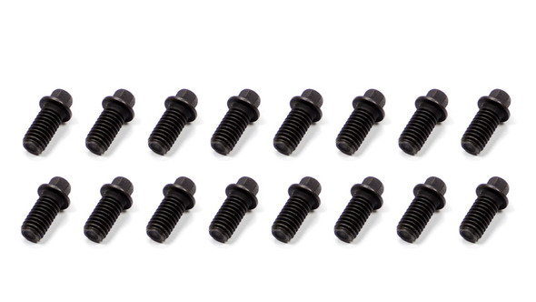 Schoenfeld Header Bolt 3/8-16X3/4In 5/16 Head  16Pk 3006-16