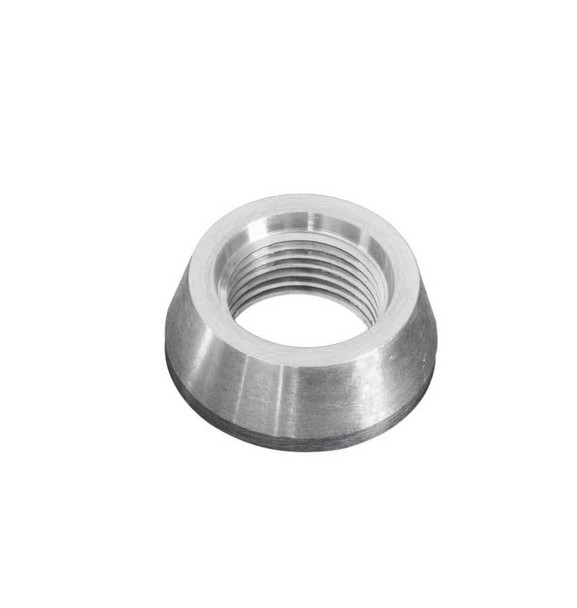 Joes Racing Products Weld Fitting -10An Femal Aluminum 37310