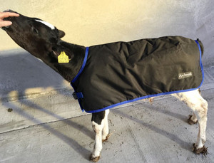 Calf Jacket / Leg Straps Only / Waterproof / 30"