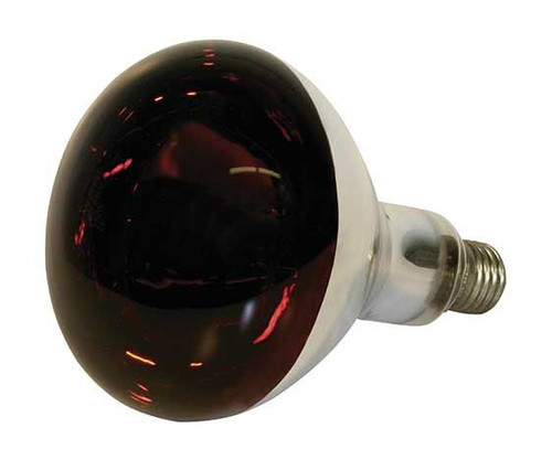 Heat Lamp Bulb 150W or 250W