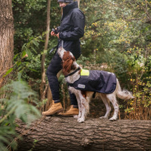 tails.com X Gill Dog Coat - K901-GRA01_LIFESTYLE_2.jpg