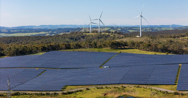 A Look at the Importance of Renewable Energy Projects