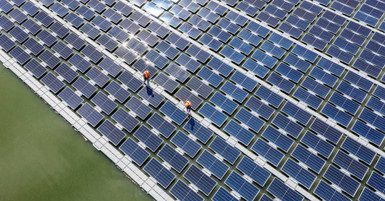 How To Order the Right Labels for a Large Solar Project