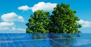 Controlling Vegetation Around Solar Installations Controlling Vegetation Around Solar Installations