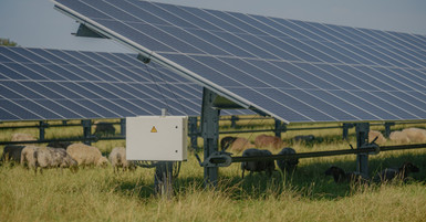 Contractor Comparison Guide for Solar Labeling Solutions