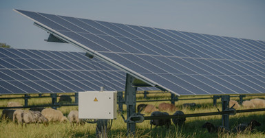 Top Causes of Solar Label Damage & How to Prevent Them
