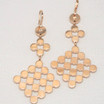 Rose Gold Plated Clear Crystal Net Earrings