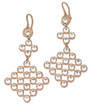 Rose Gold Plated Clear Crystal Net Earrings