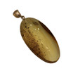 Baltic Amber Pendant - Lemon Oval Sterling Silver Natural Organic Shape