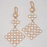 Rose Gold Plated Clear Crystal Net Earrings