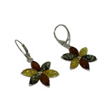 Baltic Amber Earrings - Multicolor Flower Dangle 