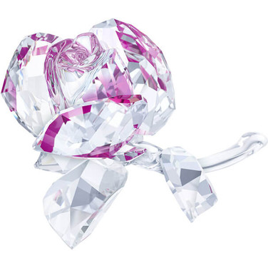 SWAROVSKI フィギュリン Blossoming Rose Swarovski Crystal - Blossoming Rose | Peter's of Kensington