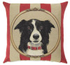 Decorative Pillow Cover Border Collie Portrait