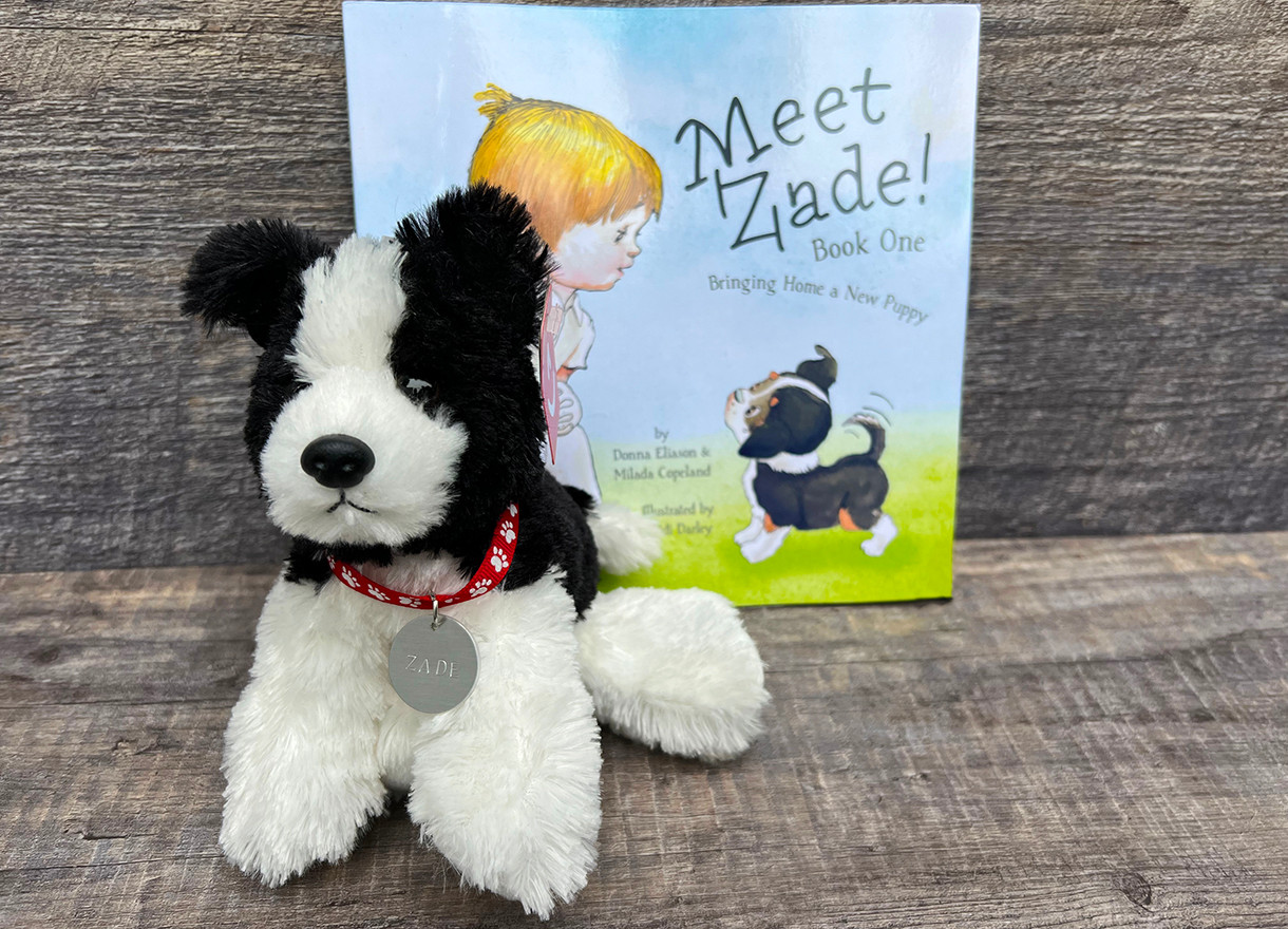 Meet Zade, children's book