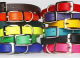 Collars, Tags & Leashes 